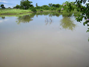 Photo of Surodi after Watershed Development Project